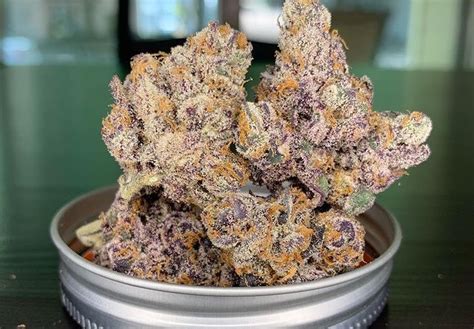 Cookies x Gary Payton is a pop culture moment and you have the golden ticket. . Gas basket strain review
